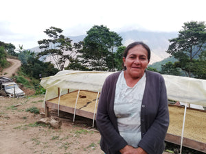 Mujer productora de café en Colombia en primer término. Atrás camas africanas para el secado de los granos de café. Preparadas para ser protegidas de la humedad por plásticos. Tostado en Málaga por Artisan Coffee