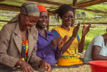 Trabajadoras de Rwuanda, riendo y clasificando el café ya lavado para posteriormente secarlo. En la estación de lavado de café de Rwingyoni